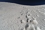 Monte Avaro e Il Collino ad anello dai Piani il 12 febb. 2020 - FOTOGALLERY